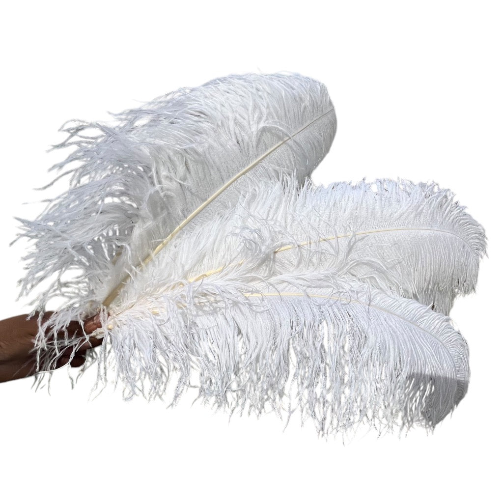 White Ostrich Feathers | 27-29