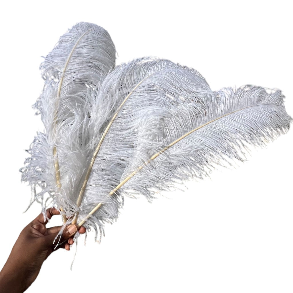 アンティーク雑貨 White Ostrich Feather. White Ostrich Feathers | 27-29