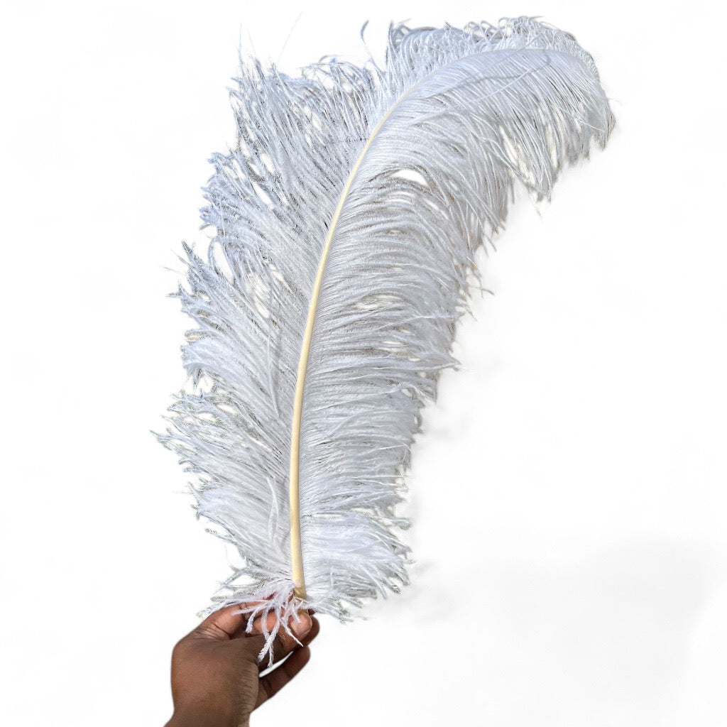 White Ostrich Feathers | 27-29