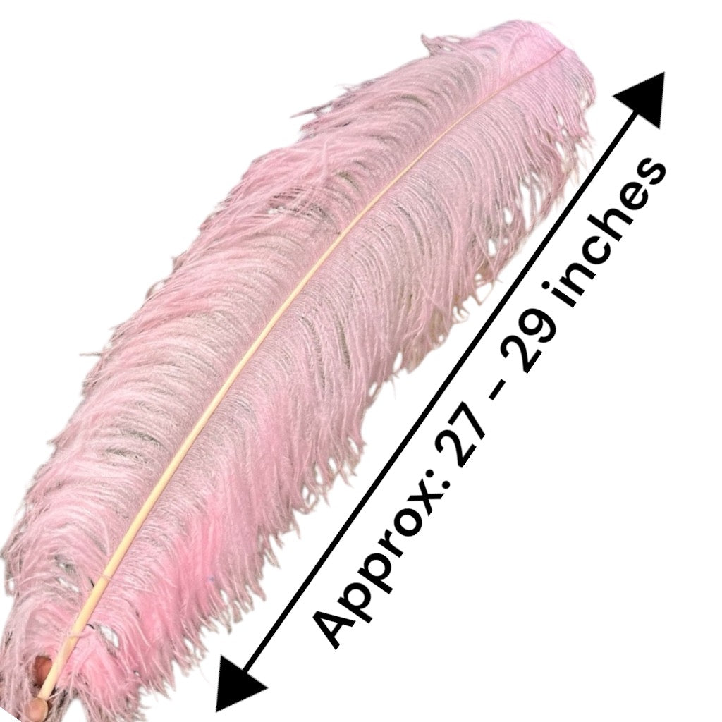 White Ostrich Feathers | 27-29