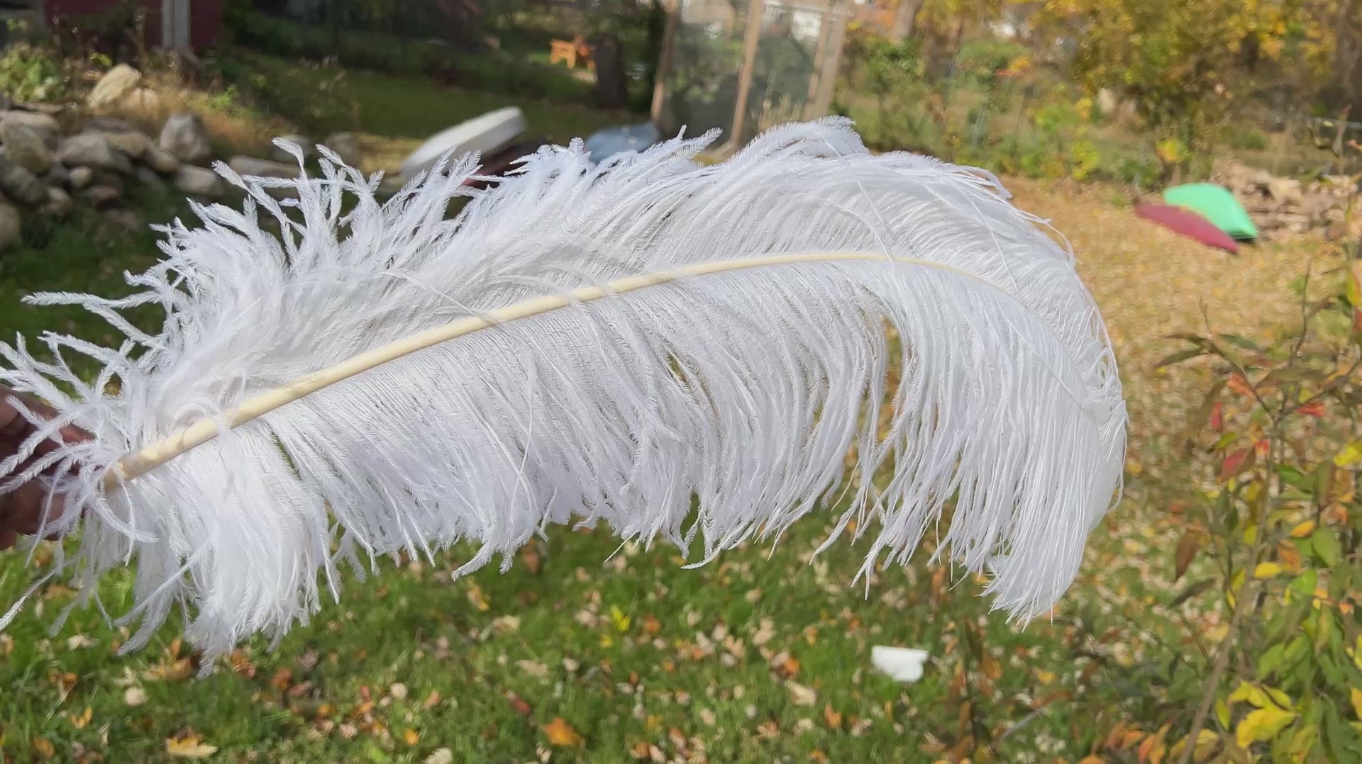 White Ostrich Feathers | 27-29